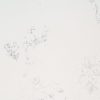Carrara Marmi