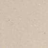 Fossil Taupe