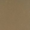 Fossil Brown
