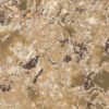 Discover the tranquil beauty of Sandy Cove at Synergy Cabinets, serving Virginia. A soothing quartz surface that adds warmth and elegance to your home