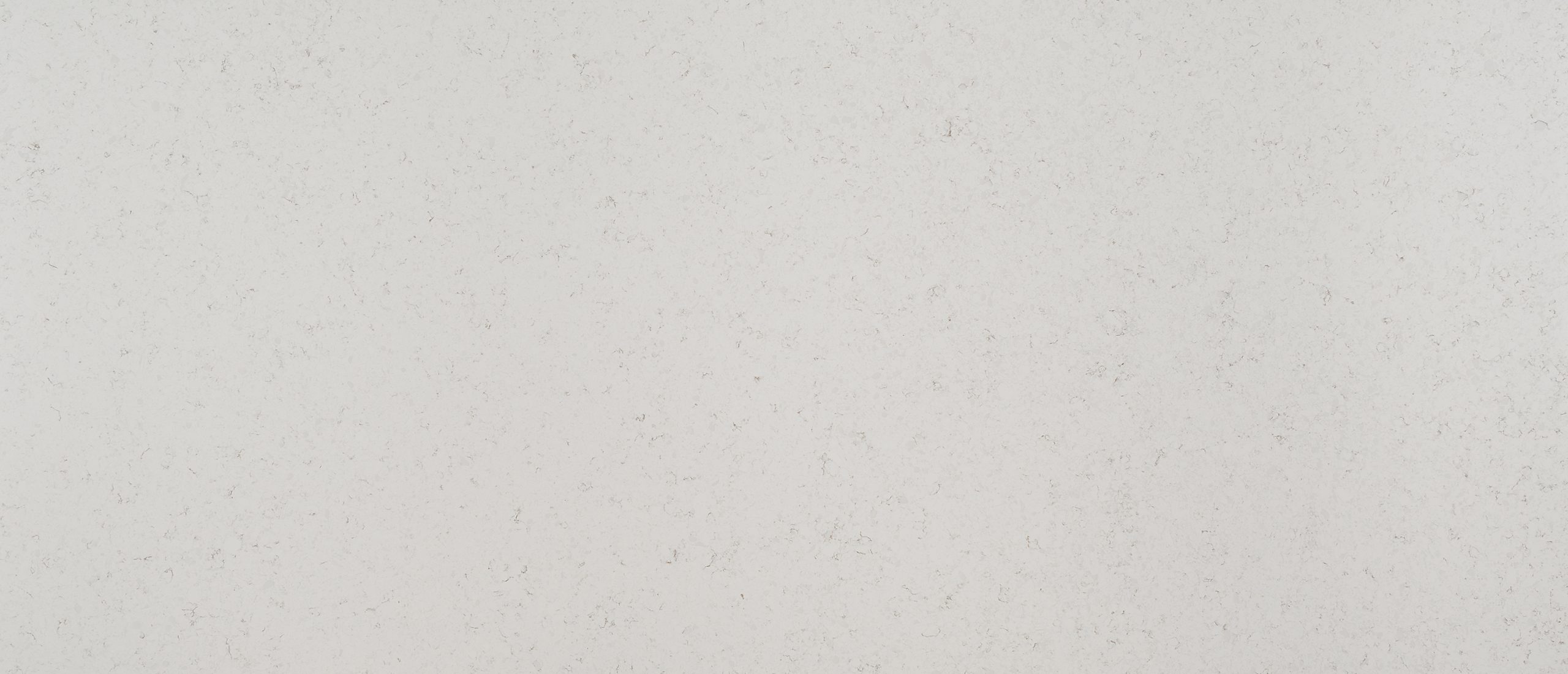 MSI Quartz Countertops Blanca Statuarietto slab at Synergy Cabinets in Annandale, VA