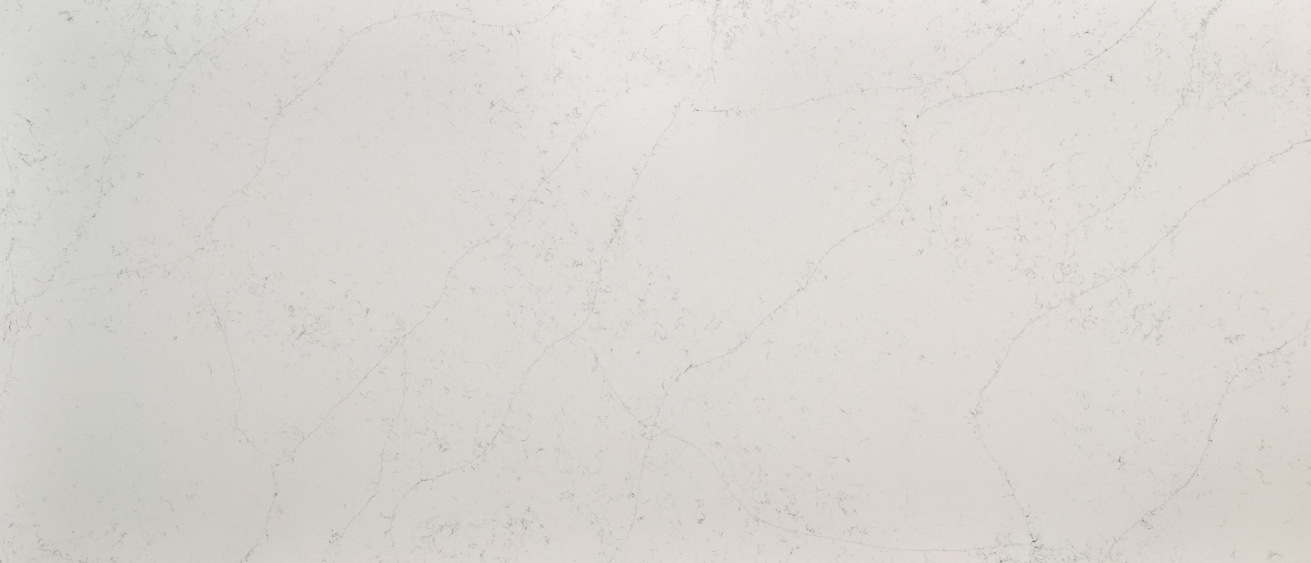 MSI Quartz Countertops Calacatta Botanica slab at Synergy Cabinets in Annandale, VA