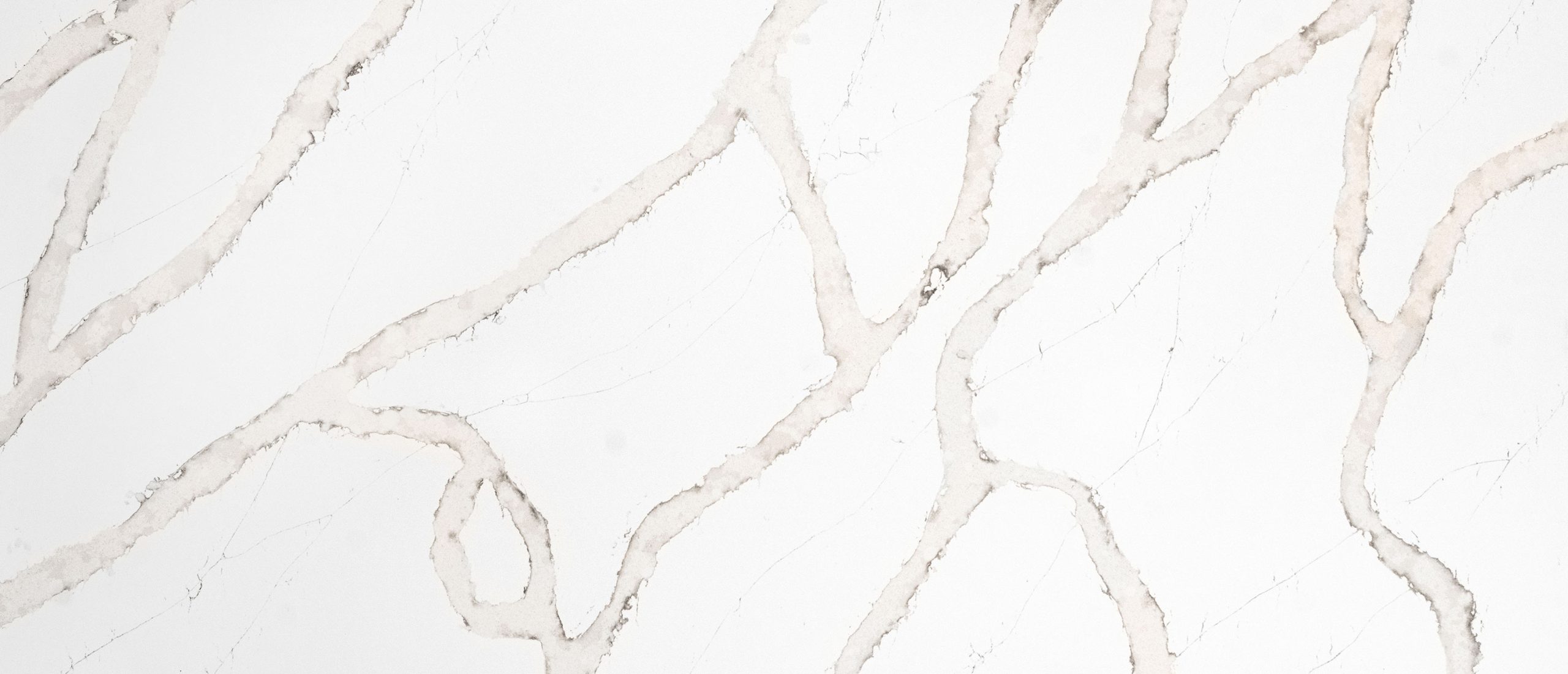 MSI Quartz Countertops Calacatta Goa slab at Synergy Cabinets in Annandale, VA