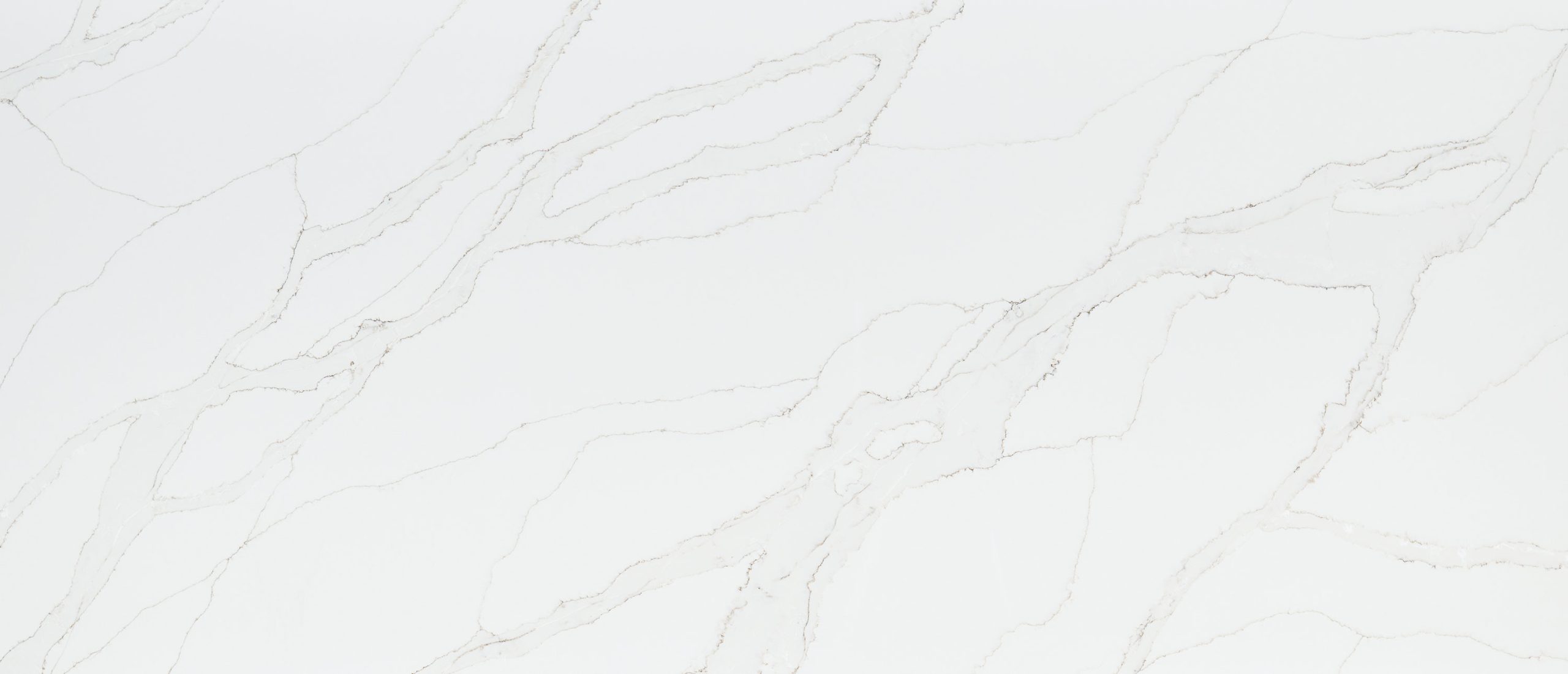 MSI Quartz Countertops Calacatta Izaro slab at Synergy Cabinets in Annandale, VA