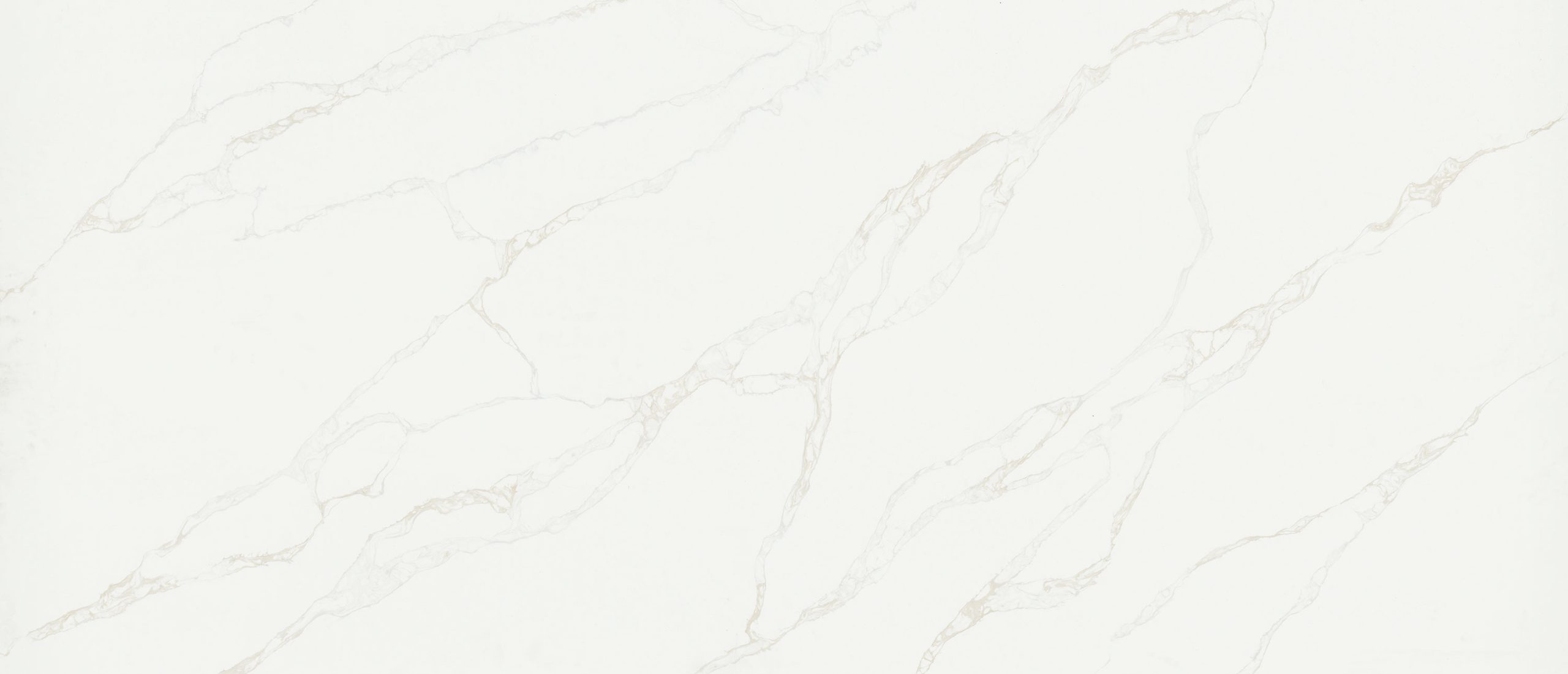 MSI Quartz Countertops Calacatta Rivessa slab at Synergy Cabinets in Annandale, VA